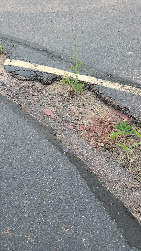 Park «Van Diest Park», reviews and photos, 1520 Chelton Rd, Colorado Springs, CO 80910, USA