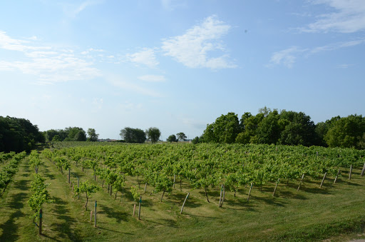 Winery «Summerset Winery», reviews and photos, 15101 Fairfax St, Indianola, IA 50125, USA