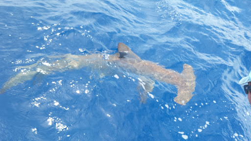 Fishing Charter «Good Time Charter Fishing», reviews and photos, 1111 Love St, Jupiter, FL 33477, USA