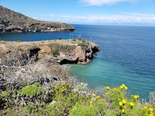 National Park «Channel Islands National Park», reviews and photos