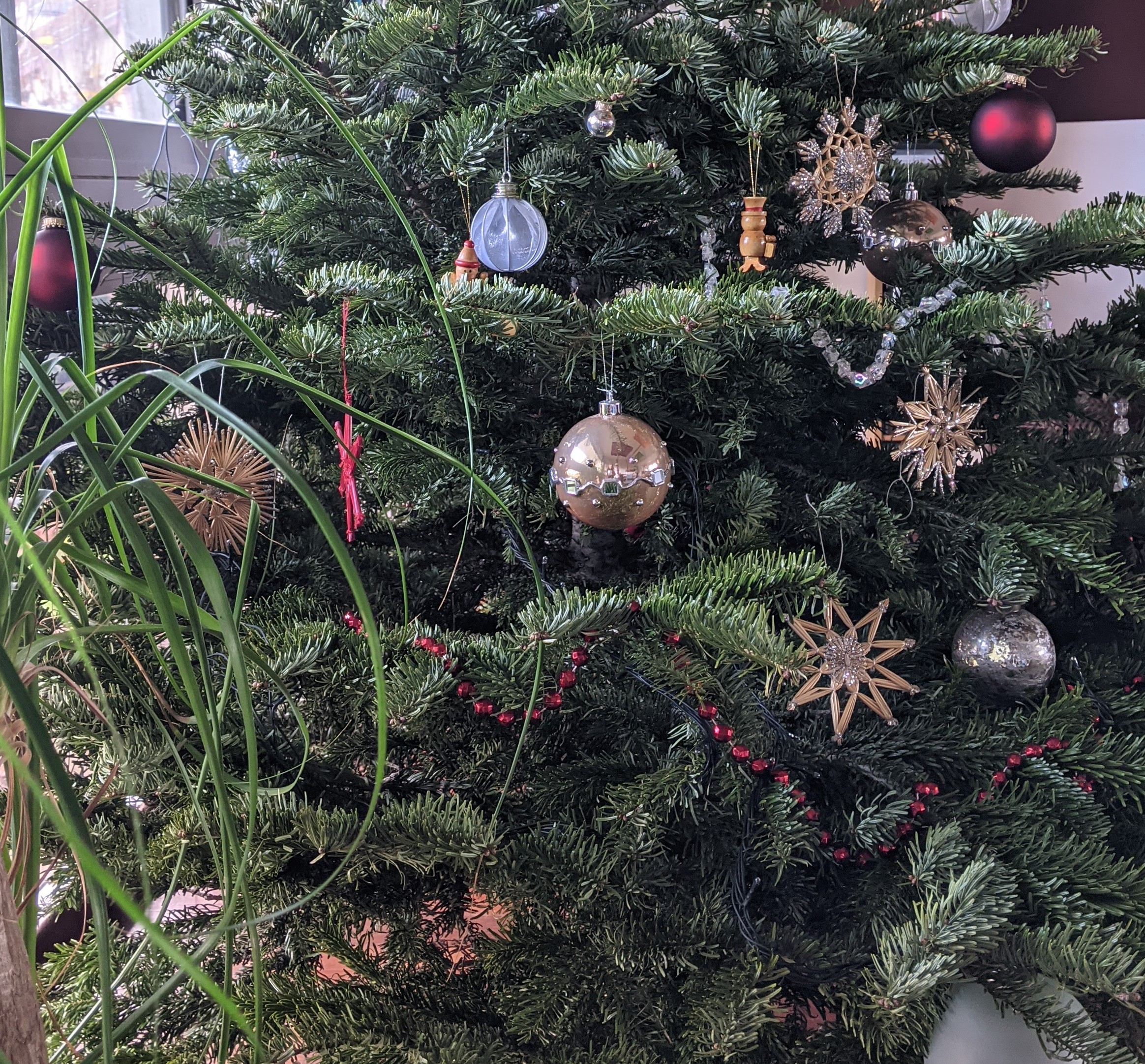 Photo n° 1 de l'avis de Francoise.e fait le 19/12/2020 à 11:11