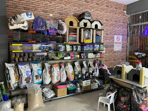 ERKİLET PETSHOP - ALOMAMA | Kocasinan Kayseri - Akvaryum Mağazası
