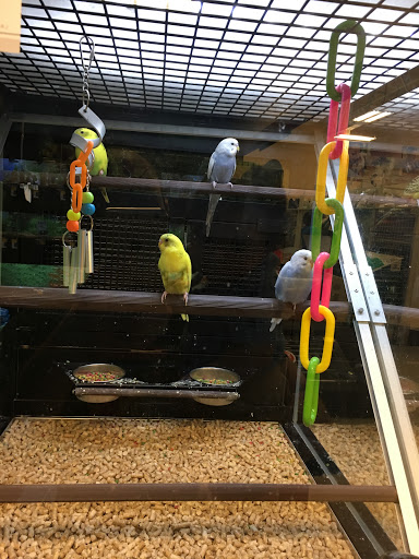 Pet Supply Store «PetSmart», reviews and photos, 4400 Fort Jackson Blvd #300, Columbia, SC 29209, USA