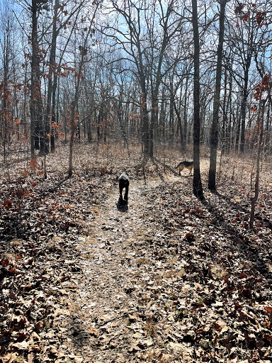 Bluestem Knoll Trail