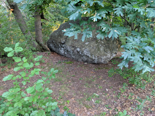 Golf Course «William J. Devine Golf Course at Franklin Park», reviews and photos, 1 Circuit Dr, Dorchester, MA 02121, USA