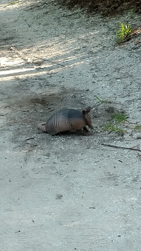 Park «Sanlando Park», reviews and photos, 401 W Highland St, Altamonte Springs, FL 32714, USA