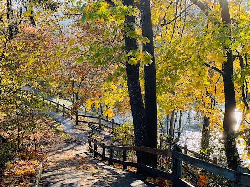 Park «High Rocks Park», reviews and photos, 25 82nd Dr, Gladstone, OR 97027, USA