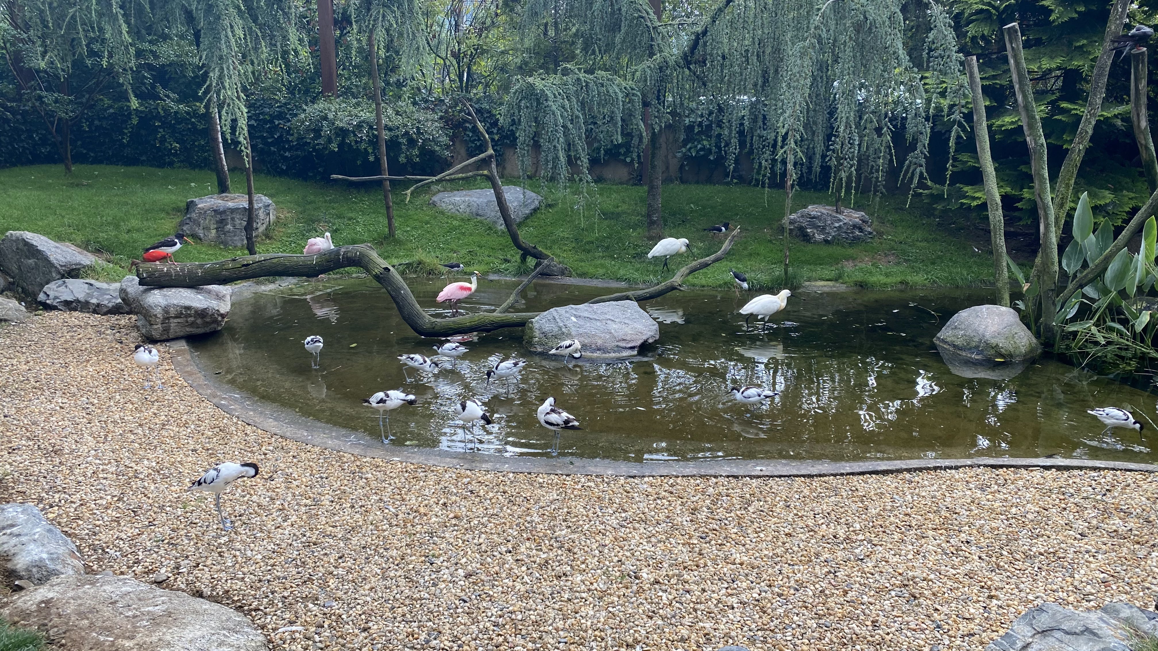 Photo n° 10 de l'avis de Jérémie.o fait le 10/07/2021 à 20:40