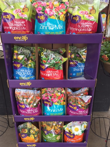 Florist «Pletschers», reviews and photos, 641 Old Hwy 8 SW, New Brighton, MN 55112, USA