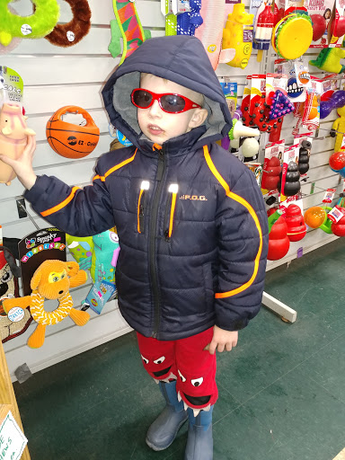 Pet Store «Olde Dogge Inn», reviews and photos, 14472 Ridge Rd W, Albion, NY 14411, USA