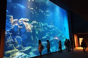 Oga Aquarium GAO image
