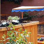 Photo n°5 de l'avis de Werner.n fait le 21/08/2020 à 13:06 sur le  Hotel - Gasthof Zum Anker à Ingolstadt