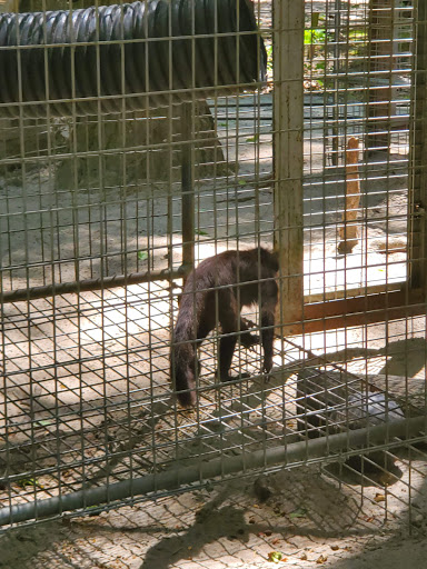 Zoo «Waccatee Zoological Farm», reviews and photos, 8500 Enterprise Rd, Myrtle Beach, SC 29588, USA