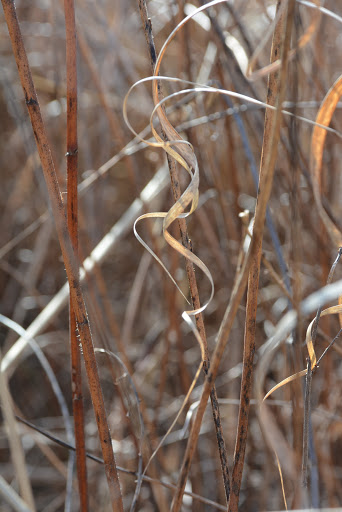 Nature Preserve «Creasey Mahan Nature Preserve», reviews and photos, 12501 Harmony Landing Rd, Goshen, KY 40026, USA