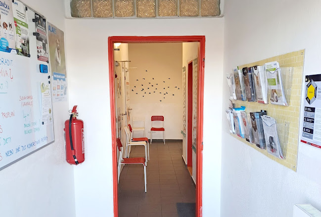 Dravet - veterinární ordinace Drásov - Veterinář