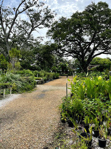 Plant Nursery «Wilcox Nursery», reviews and photos, 12501 Indian Rocks Rd, Largo, FL 33774, USA