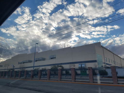 Foreigners Managers Juarez City