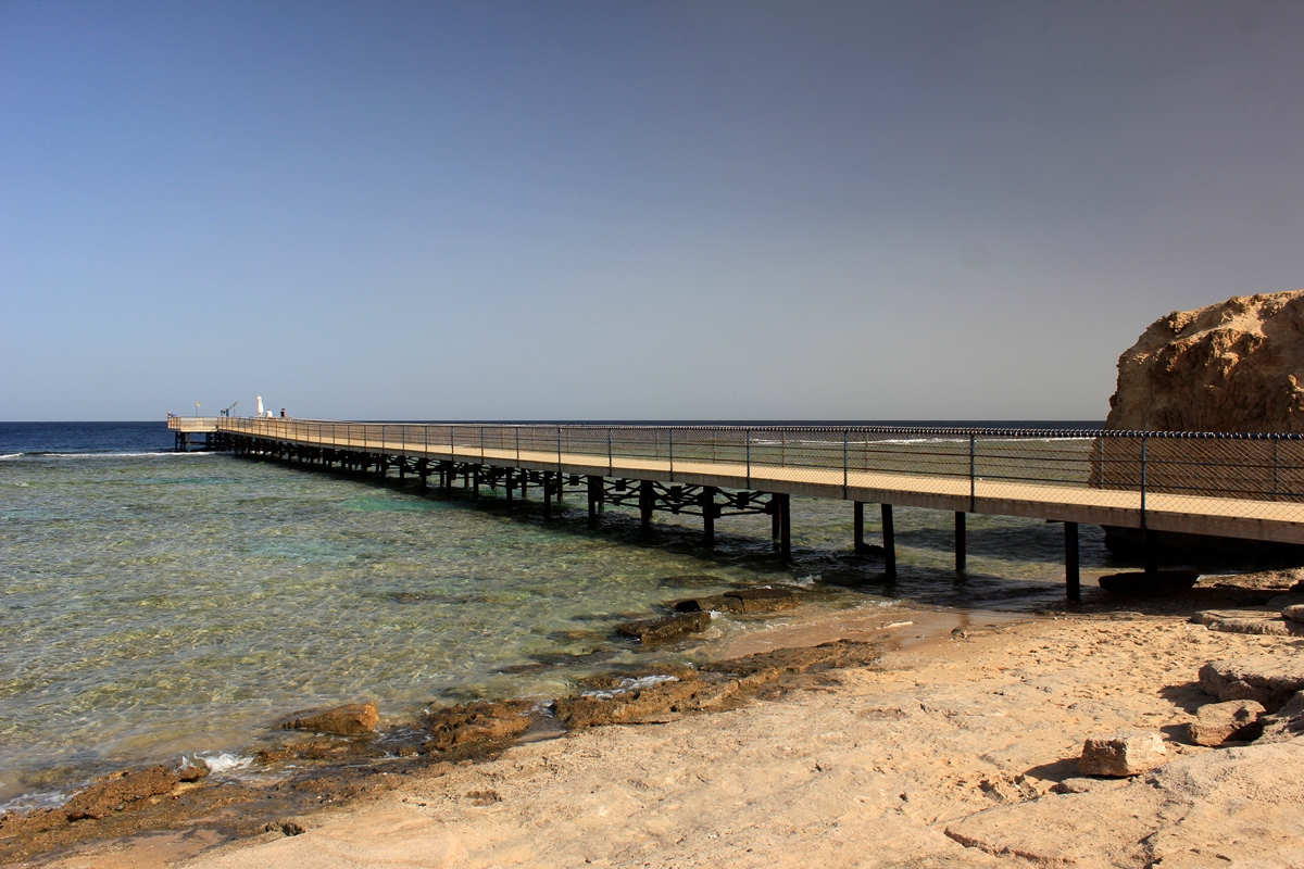 Solymar Reef Marsa photo #7