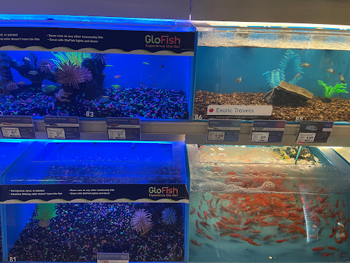 Pet Supply Store «PetSmart», reviews and photos, 8657 Villa La Jolla Dr, La Jolla, CA 92037, USA