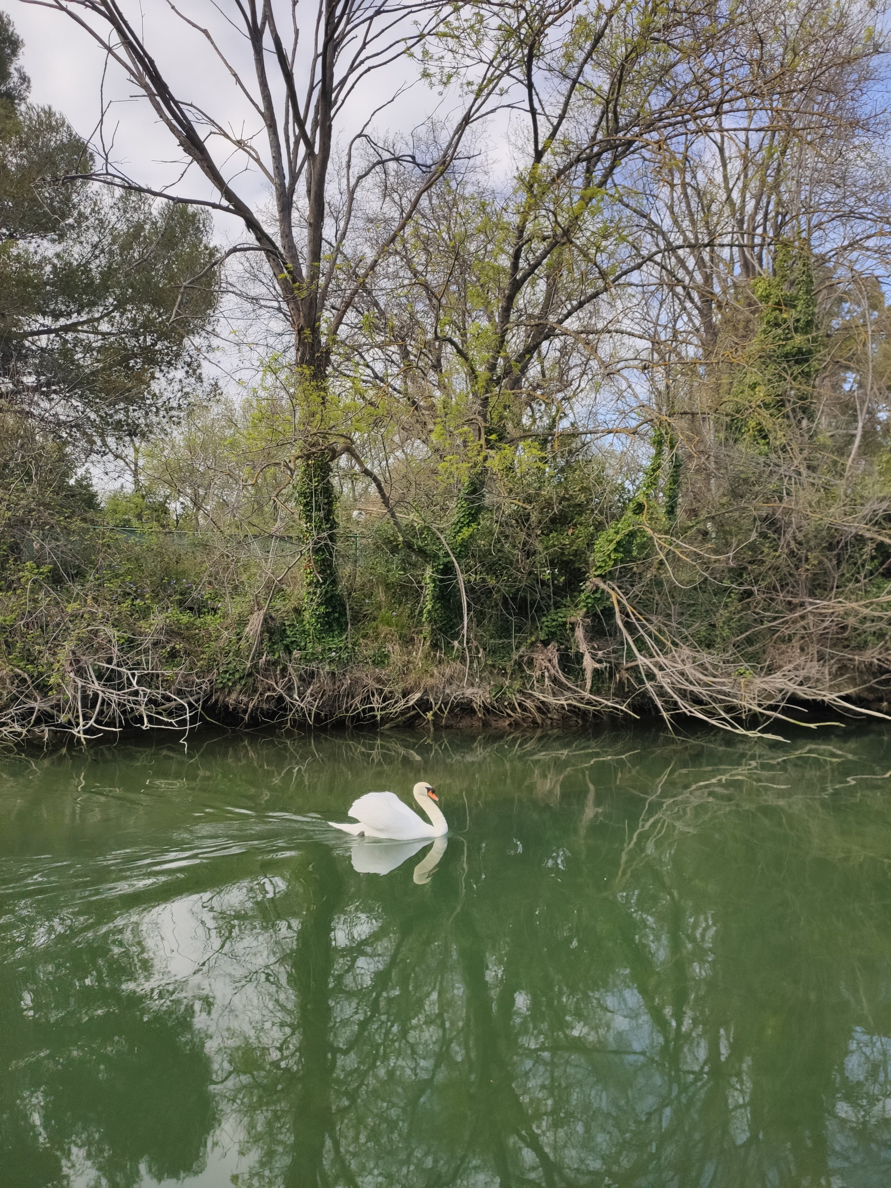Photo n° 2 de l'avis de Mathieu.c fait le 28/03/2021 à 15:42