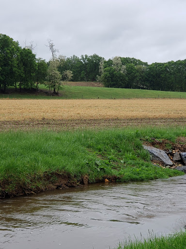 Tourist Attraction «Crystal Grottoes Caverns», reviews and photos, 19821 Shepherdstown Pike, Boonsboro, MD 21713, USA