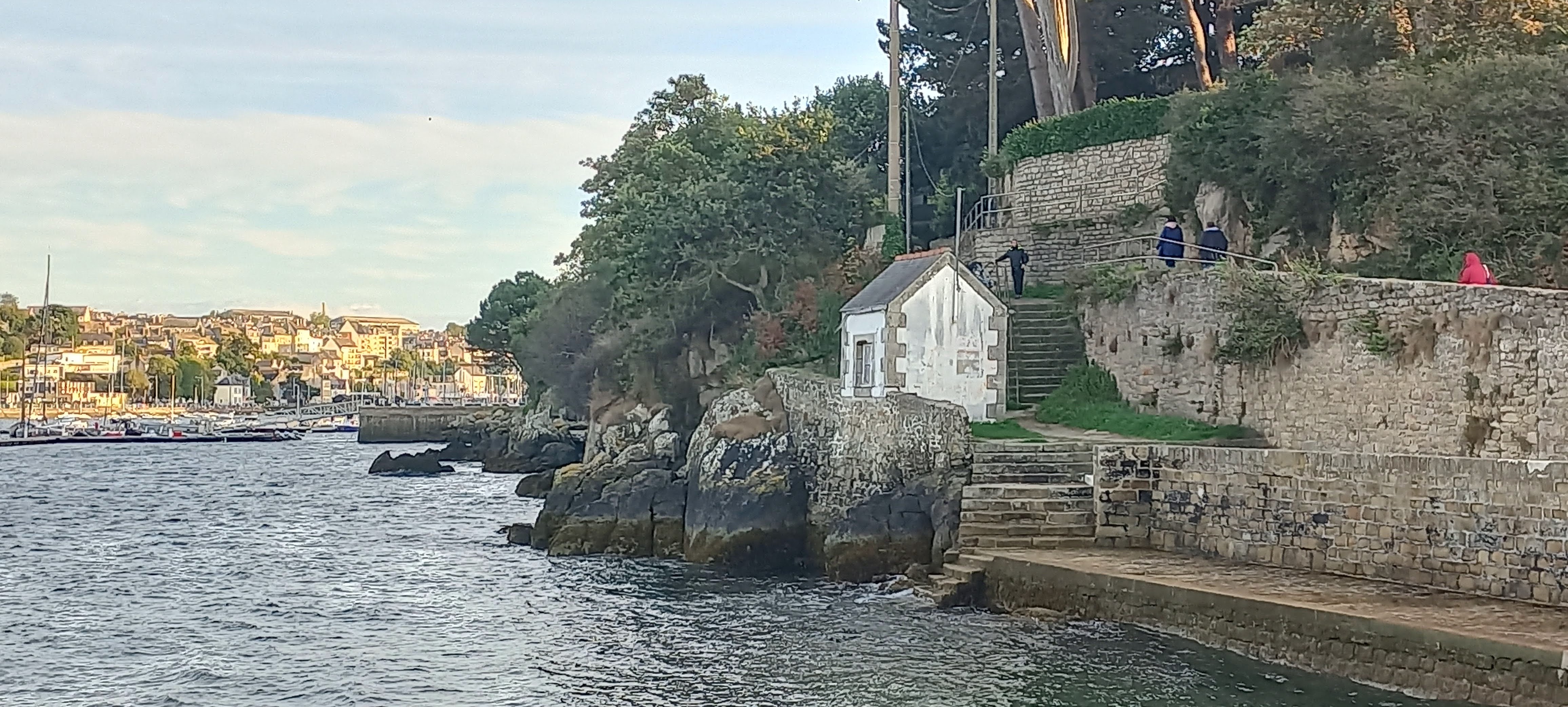 Photo n° 3 de l'avis de Evariste.' fait le 26/09/2022 à 13:56