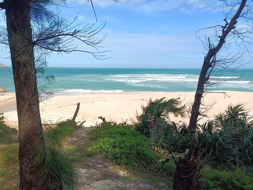 Photo of Xuan Thinh Beach with bright sand surface