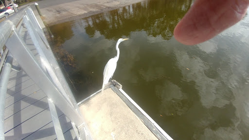 Park «Gilbert Park», reviews and photos, 310 S Tremain St, Mt Dora, FL 32757, USA