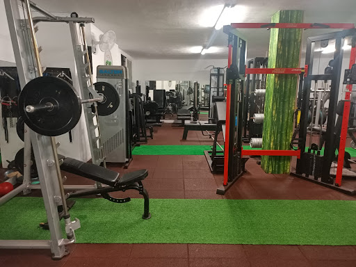 CAF GYM Centro de Acondicionamiento Físico y salud en Tarragona, Tarragona