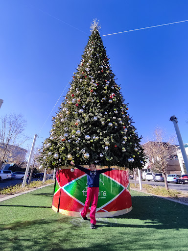 Shopping Mall «The Fountains at Farah», reviews and photos, 8889 Gateway Blvd W, El Paso, TX 79925, USA