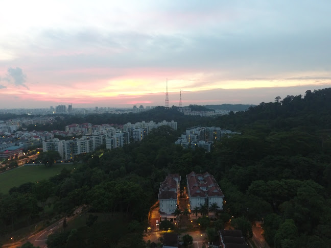 Comentarii opinii despre Le Wood