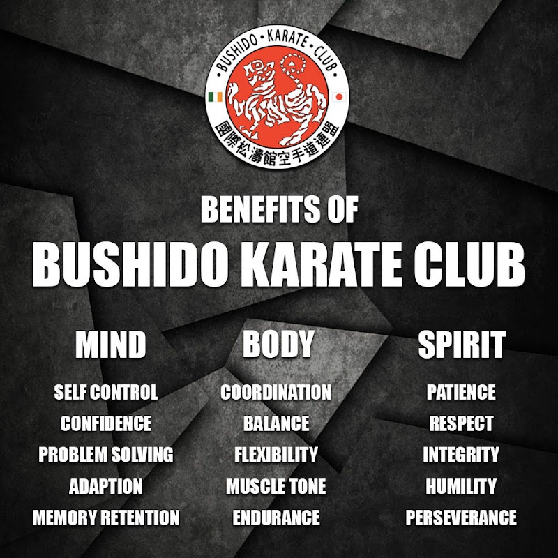 Bushido Karate Club Carrigtwohill