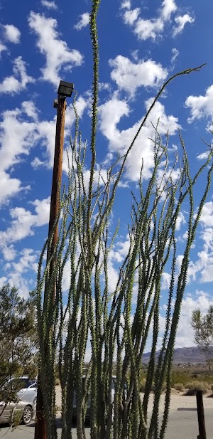29 Palms Art Gallery - photo 27