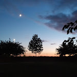 Photo n°1 de l'avis de Alessio.n fait le 24/07/2020 à 22:13 sur le  Ristoro Martin Pescatore à Castel d'Azzano