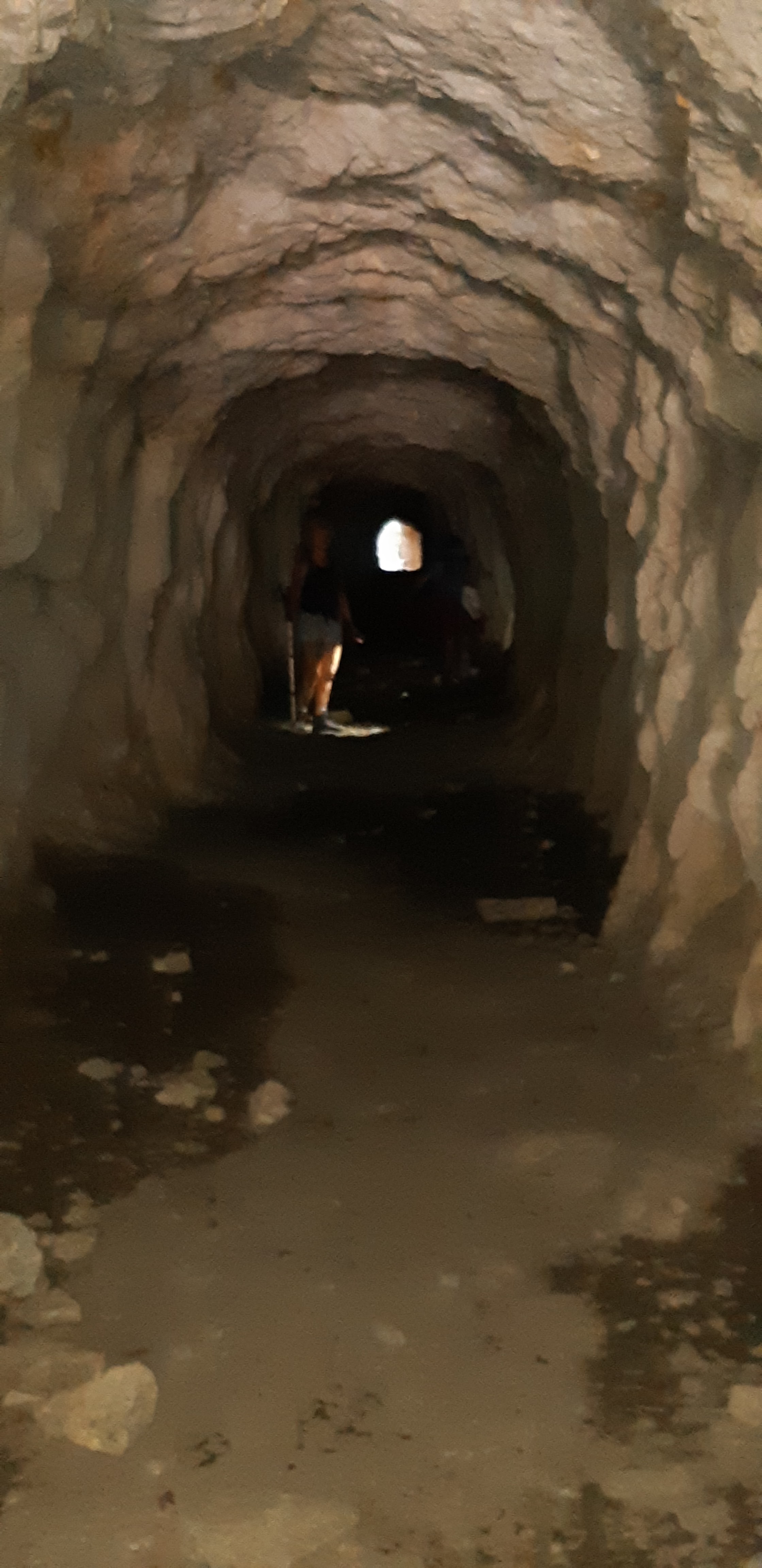 Photo n° 6 de l'avis de Di.e fait le 25/05/2019 à 13:15