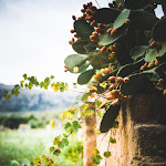 Photo n°5 de l'avis de Riccardo.e fait le 10/09/2018 à 16:06 sur le  Hotel Baglio Catalano à Purgatorio