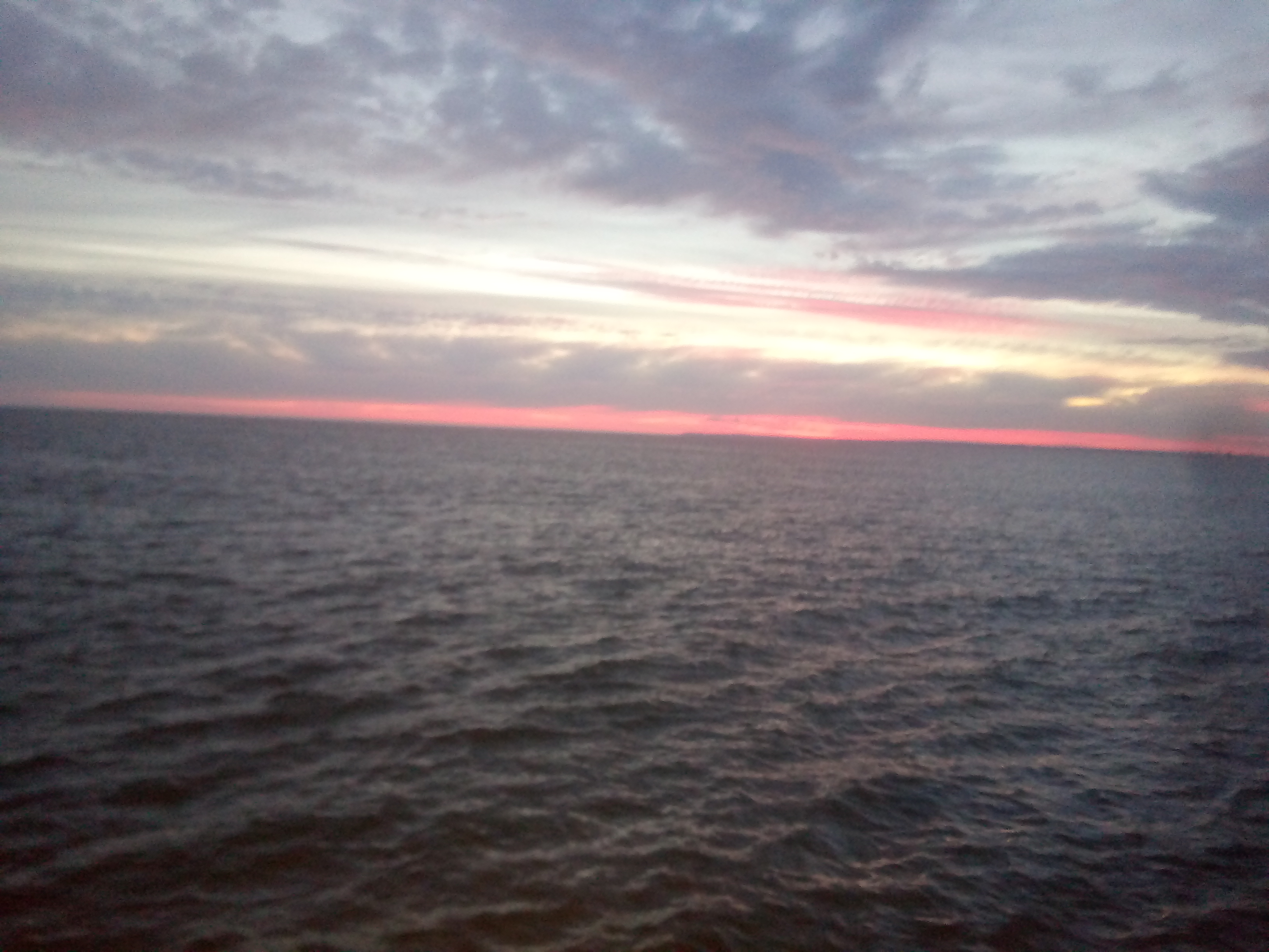 Photo n° 2 de l'avis de Naudy.e fait le 24/07/2019 à 22:34