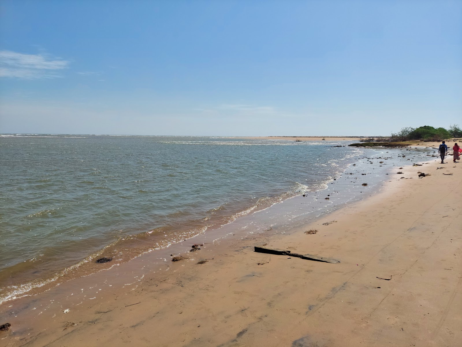 Foto di Kalingapatnam Beach con una superficie del sabbia beige