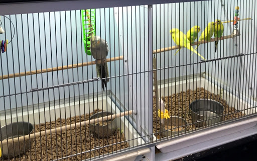 Pet Supply Store «Pet Supplies Plus», reviews and photos, 1240 Seminole Trail, Charlottesville, VA 22901, USA