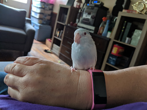 Pet Supply Store «Pet Supplies Plus», reviews and photos, 5708 State St, Saginaw, MI 48603, USA