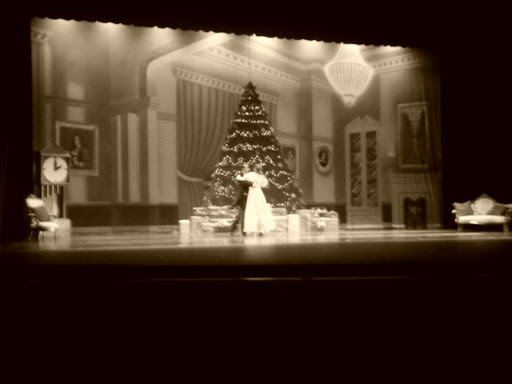 Performing Arts Theater «Higley Center for the Performing Arts», reviews and photos, 4132 E Pecos Rd, Gilbert, AZ 85295, USA