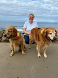 Aldona to the Rescue - Photo 4 - Car repair in , Aurora