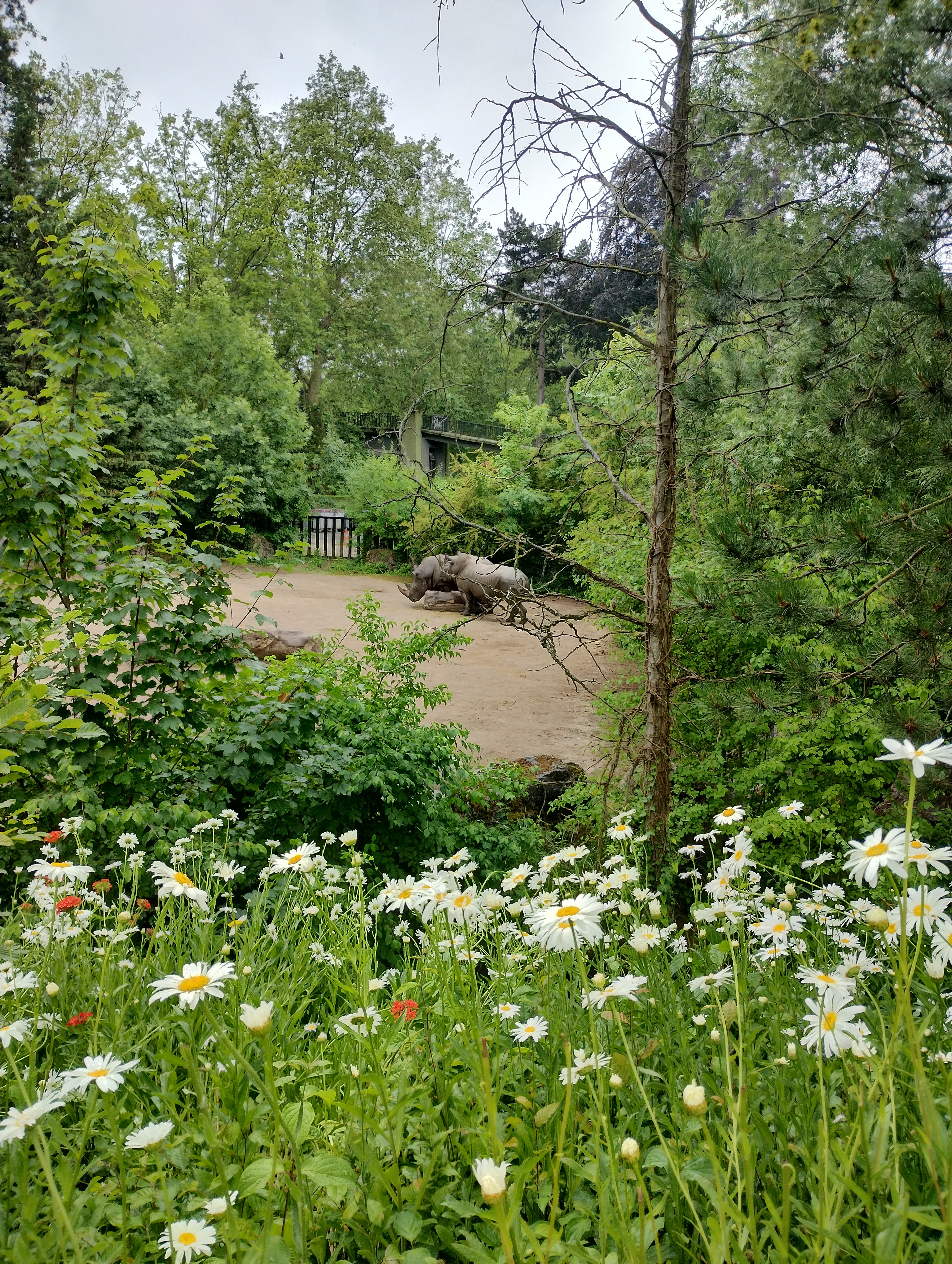 Photo n° 2 de l'avis de Sigourney.e fait le 01/07/2023 à 22:16