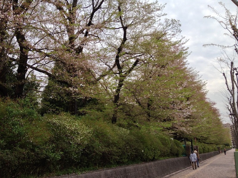 誠明学園遊歩道