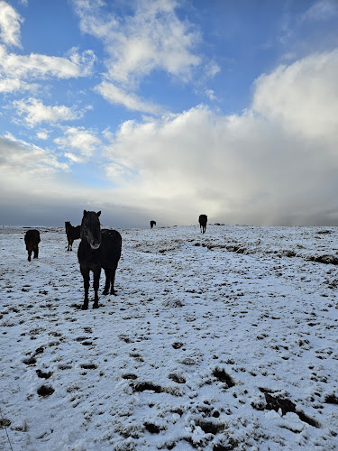 Zorientowani Travel - Aktywne Wyprawy i Wczasy - Warszawa