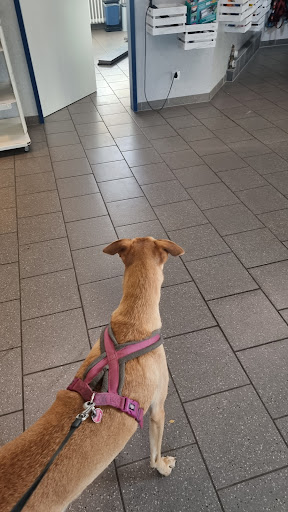 Tierarztpraxis Kappeln unter Kappeln, Schleswig-Holstein