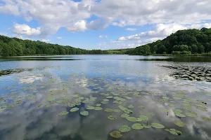 Jezioro Leśne image