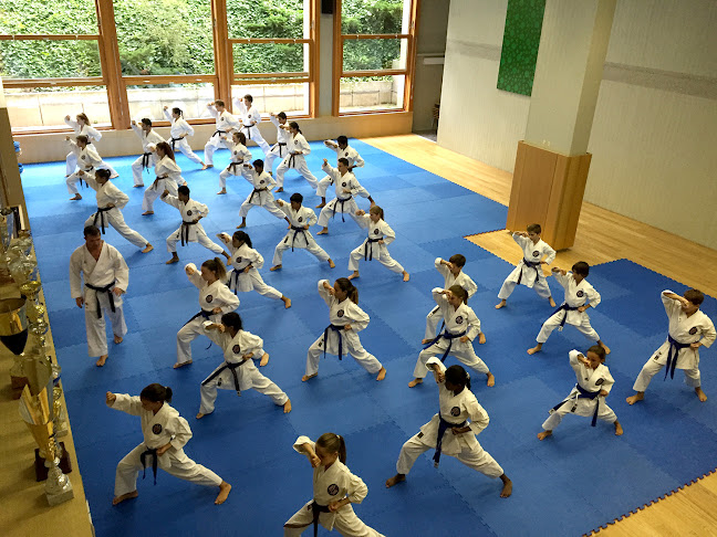 Ippon Karate Club Tivoli - Geneva
