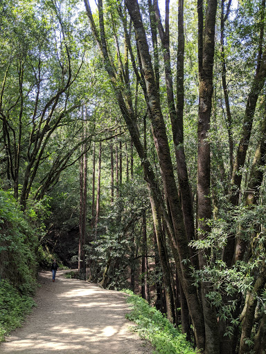 Dunn Trail