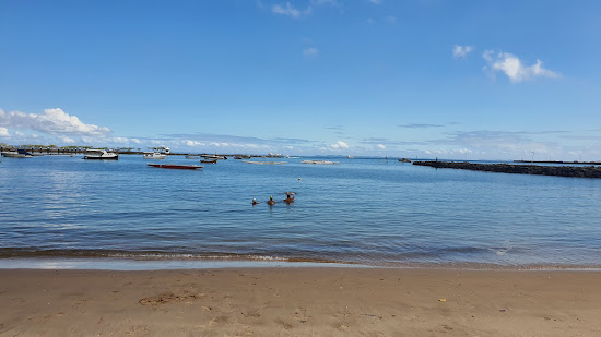 Praia da Preguica